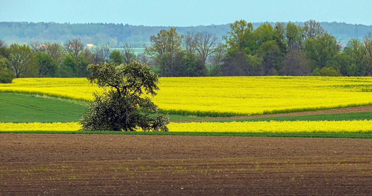 Cztery Luksusowe Domy Na Mazurach, Jezioro Juksty - Sakurarest Sniadowo  المظهر الخارجي الصورة